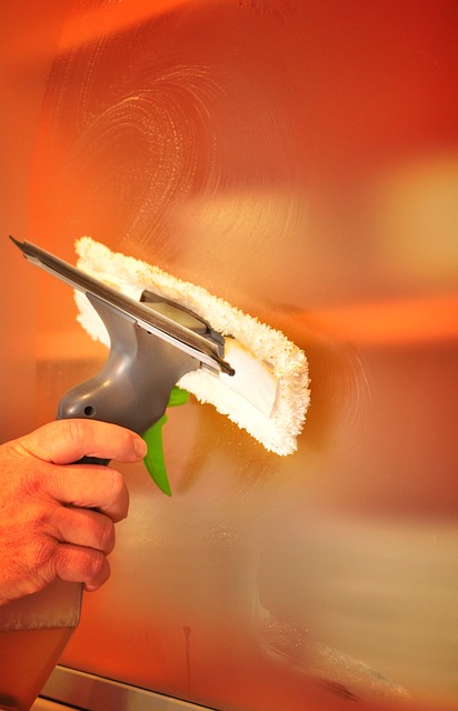 probate house clearance service