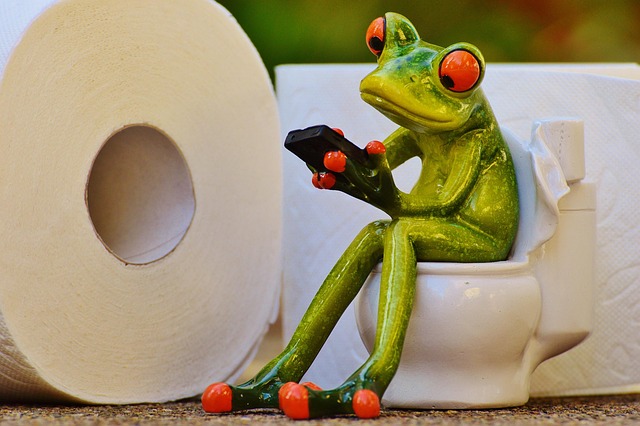 toilet repair service