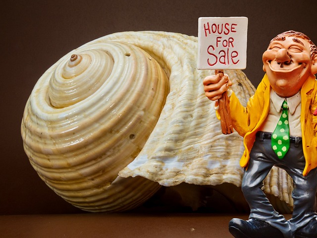 affordable house clearance service