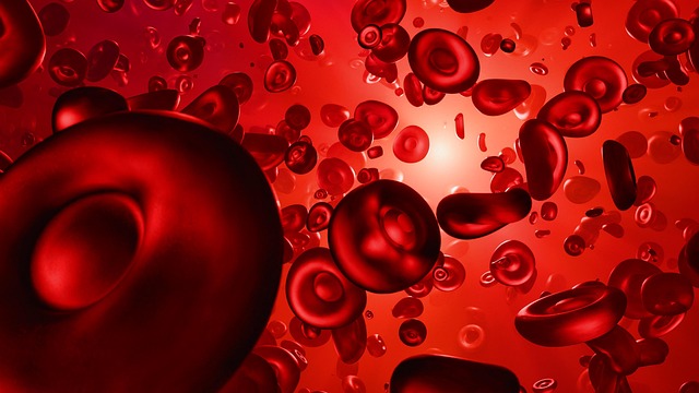 blood test