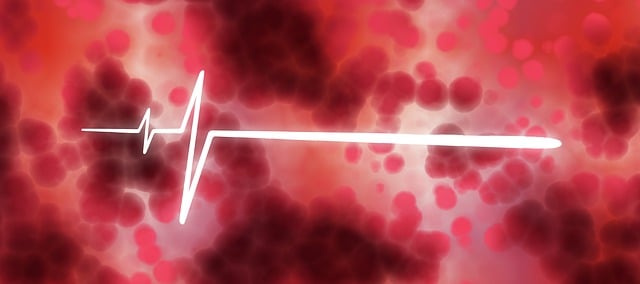 blood test