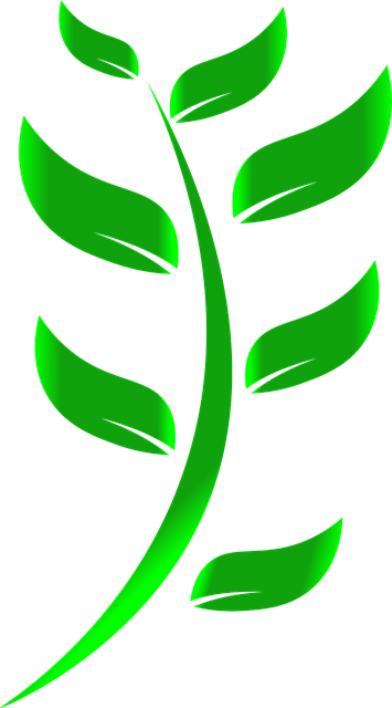 eco friendly house clearance service