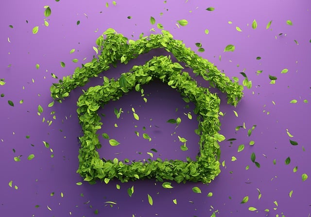 eco friendly house clearance service