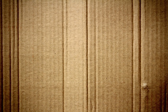 eco friendly house clearance service