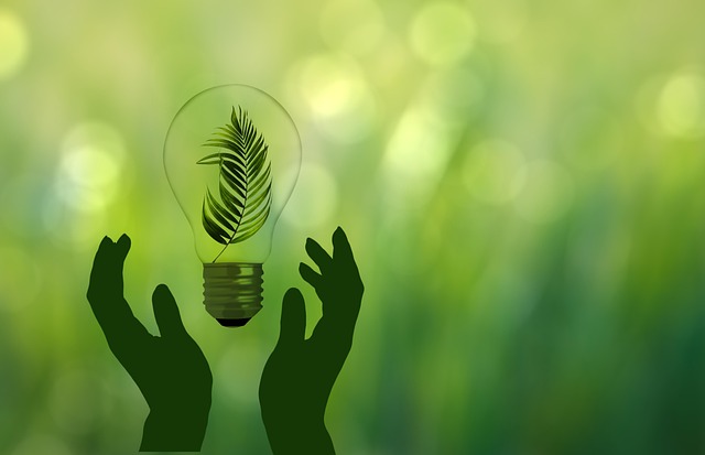 eco friendly house clearance service