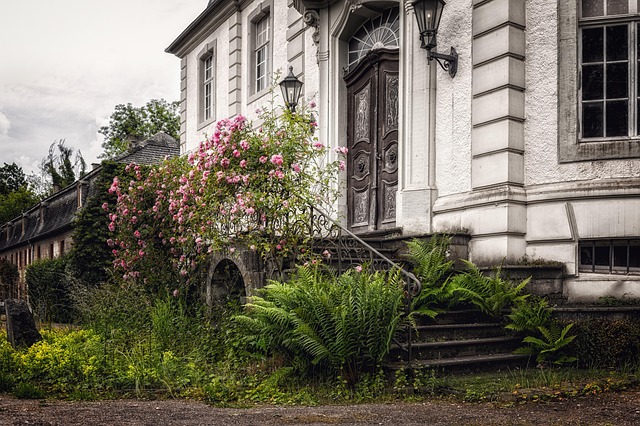 estate house clearance specialists