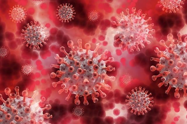 blood test