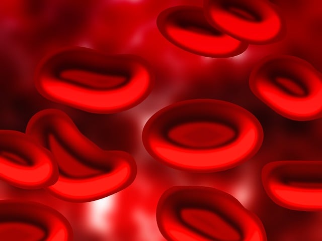 blood test
