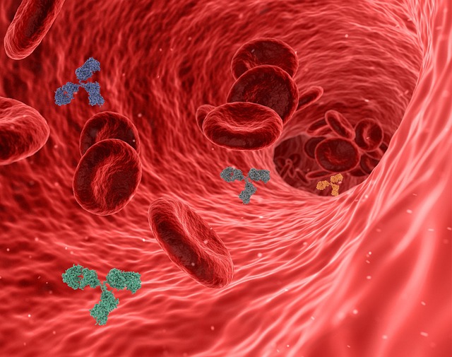 blood test