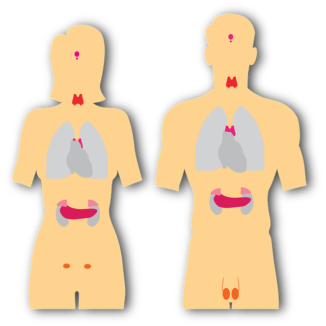 comprehensive thyroid testing