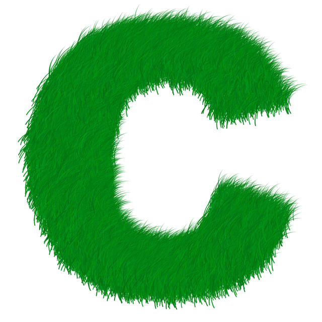 eco friendly house clearance service