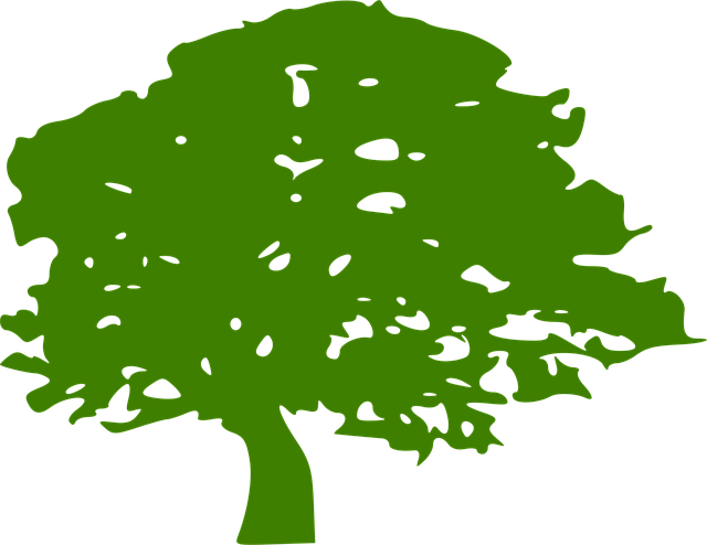 eco friendly house clearance service