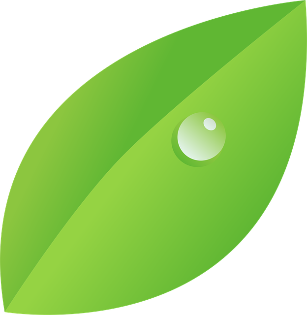 eco friendly house clearance service