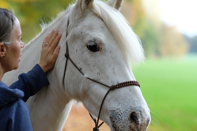 gentle wart removal procedure