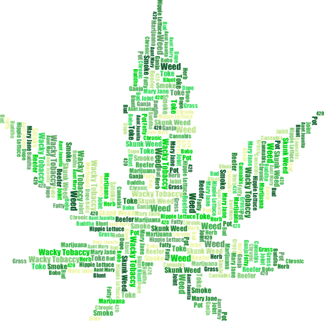 npressfetimg-525.png