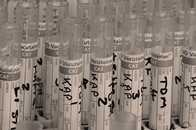 thyroid health test service