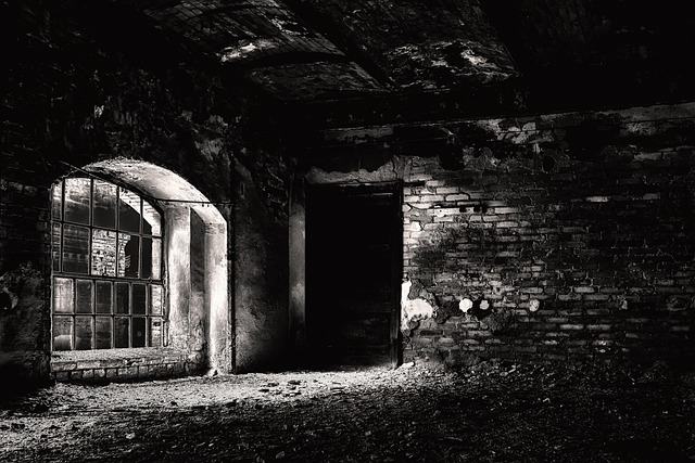 basement clearance experts