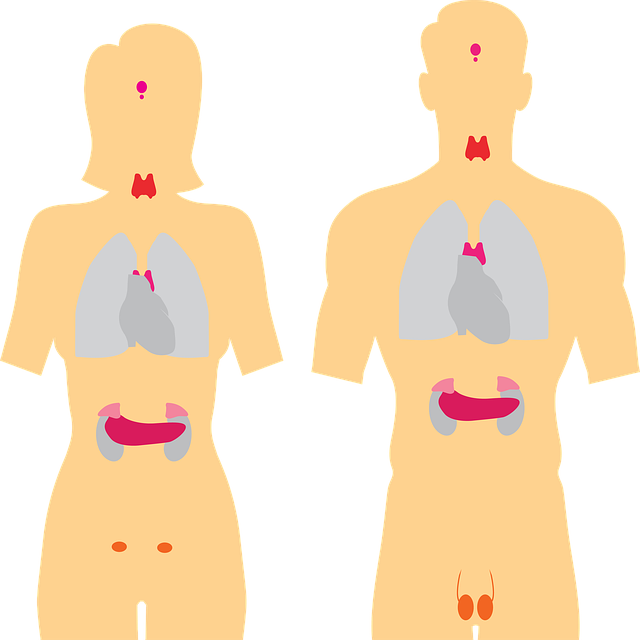 comprehensive thyroid testing