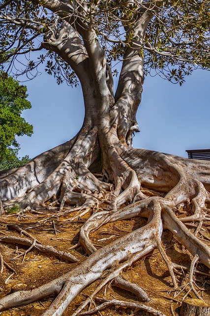 estate house clearance specialists