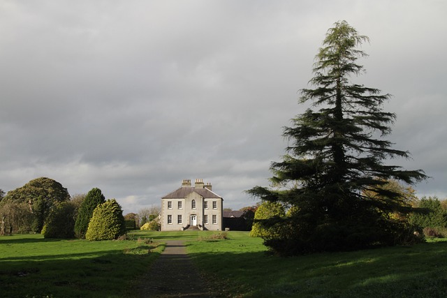 estate house clearance specialists