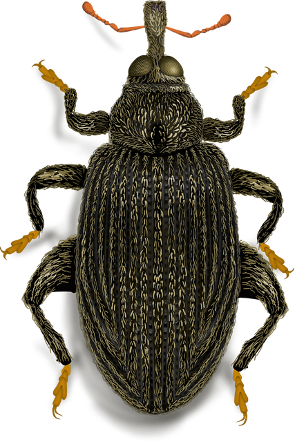 non invasive wart removal method