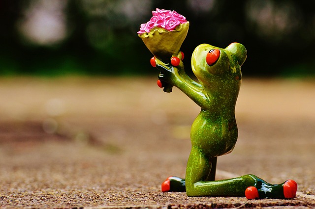 Wart Removal Near Me: Clinic Guide for Effective Treatments