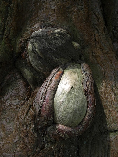 certified wart removal doctor