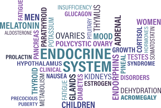 comprehensive thyroid testing