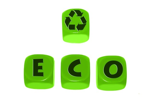 eco friendly house clearance service