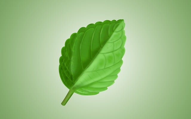 eco friendly house clearance service