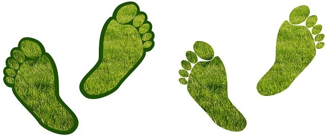 eco friendly house clearance service
