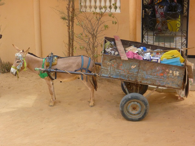 rubbish removal