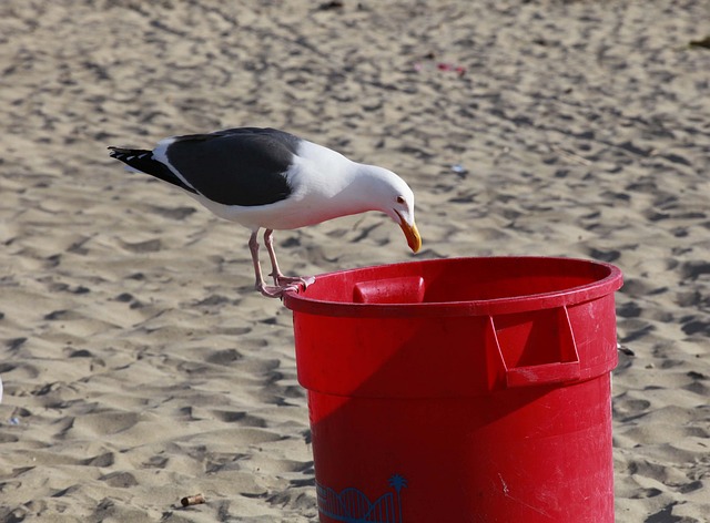 rubbish removal
