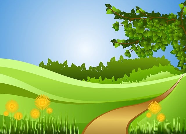 eco friendly house clearance service