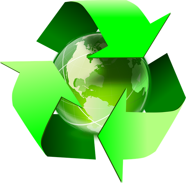 Top Green Waste Disposal in [Location]: Eco-Friendly Choices Revealed