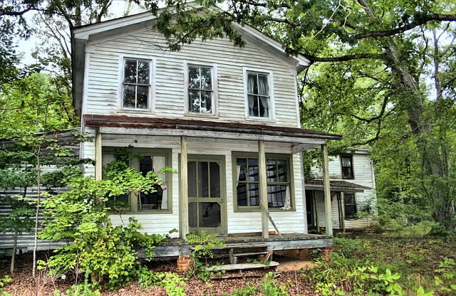 Revive Old Appliances: Eco-Friendly Transformations &amp; Tips