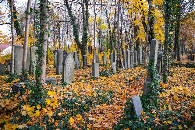 Navigating Bereavement House Clearance: Support for Sensitive Process