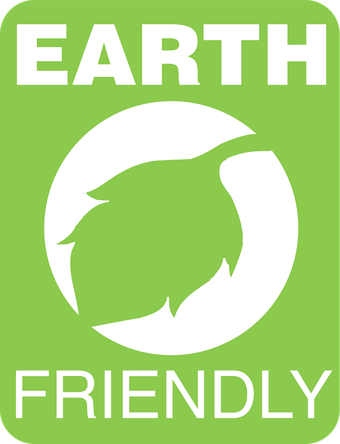 Eco-Friendly Room Clearance: Sustainable Solutions Unveiled