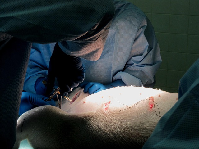 outpatient wart removal procedure