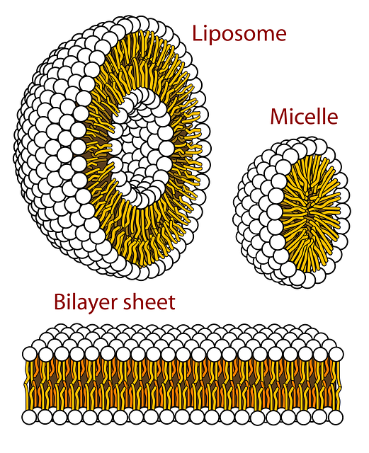 permanent wart removal solution