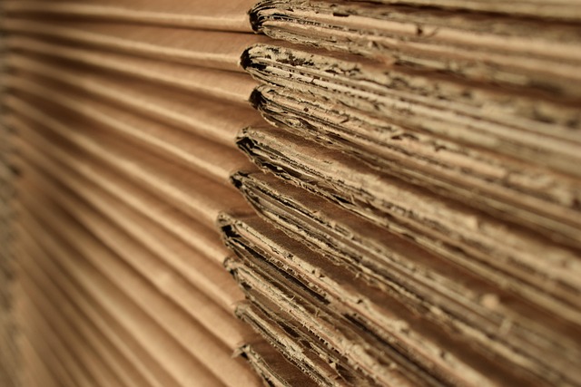 Transform Your Garage From Chaos to Order with Garage Clearance Service