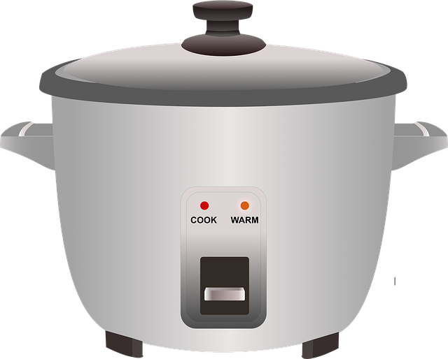 Fix Appliances First: Safe Removal &amp; Eco-Clearance Guide