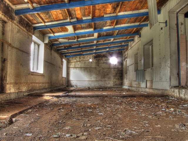 Mastering Garage Organization: Choose a Reputable Cleaning Pro