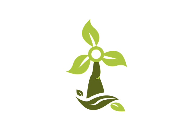 Uncover Top Green Home Decluttering Services for Sustainable Living
