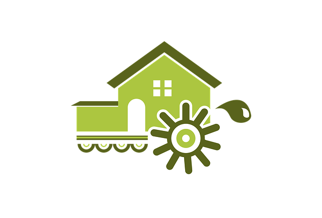 Uncover Top Green Home Decluttering Services for Sustainable Living