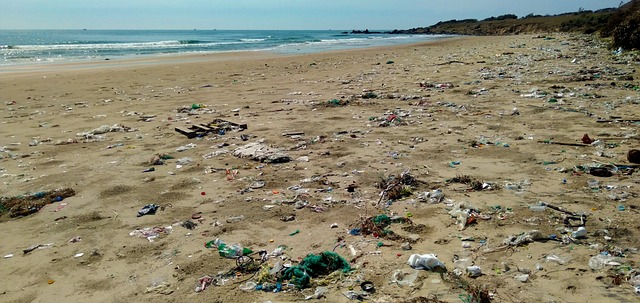 rubbish removal