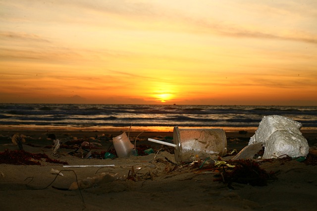 rubbish removal