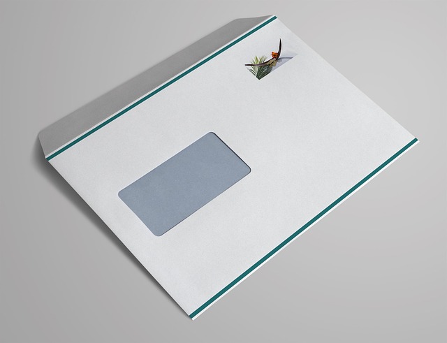 Director Service Address Email Notifications