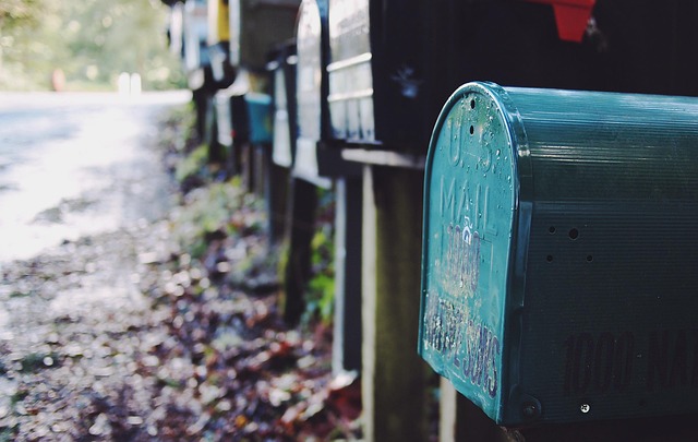 Director Service Address Mail Forwarding Guide