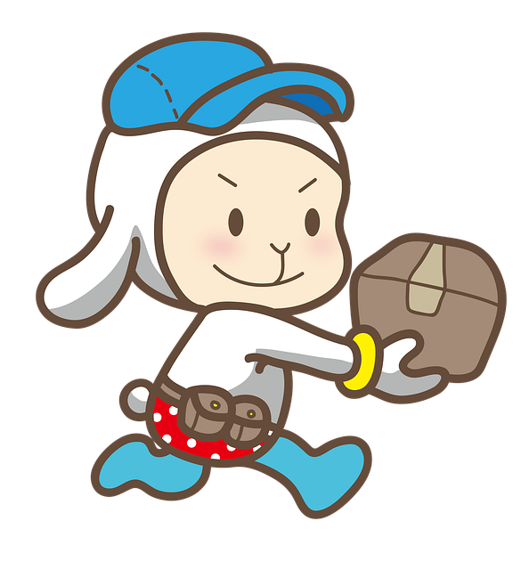 Director Service Address Mail Forwarding Guide